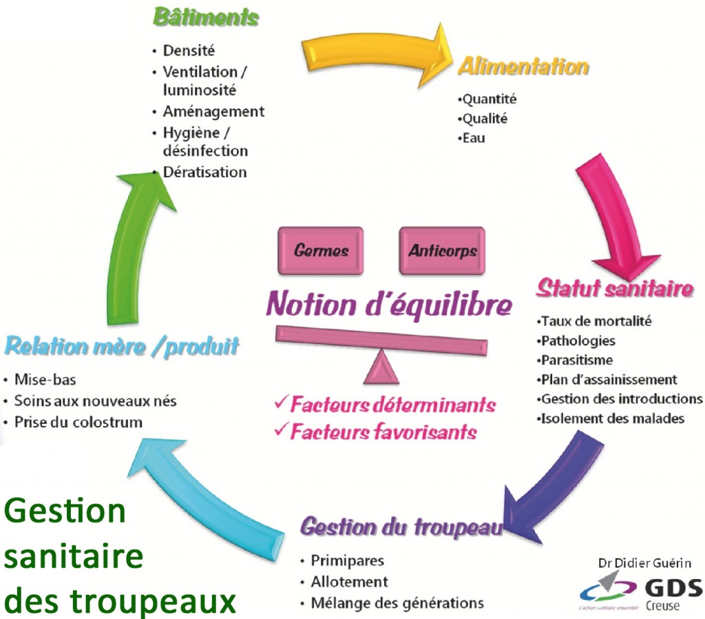 Gestion sanitaire des troupeaux intrabis