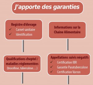 Apport de garanties