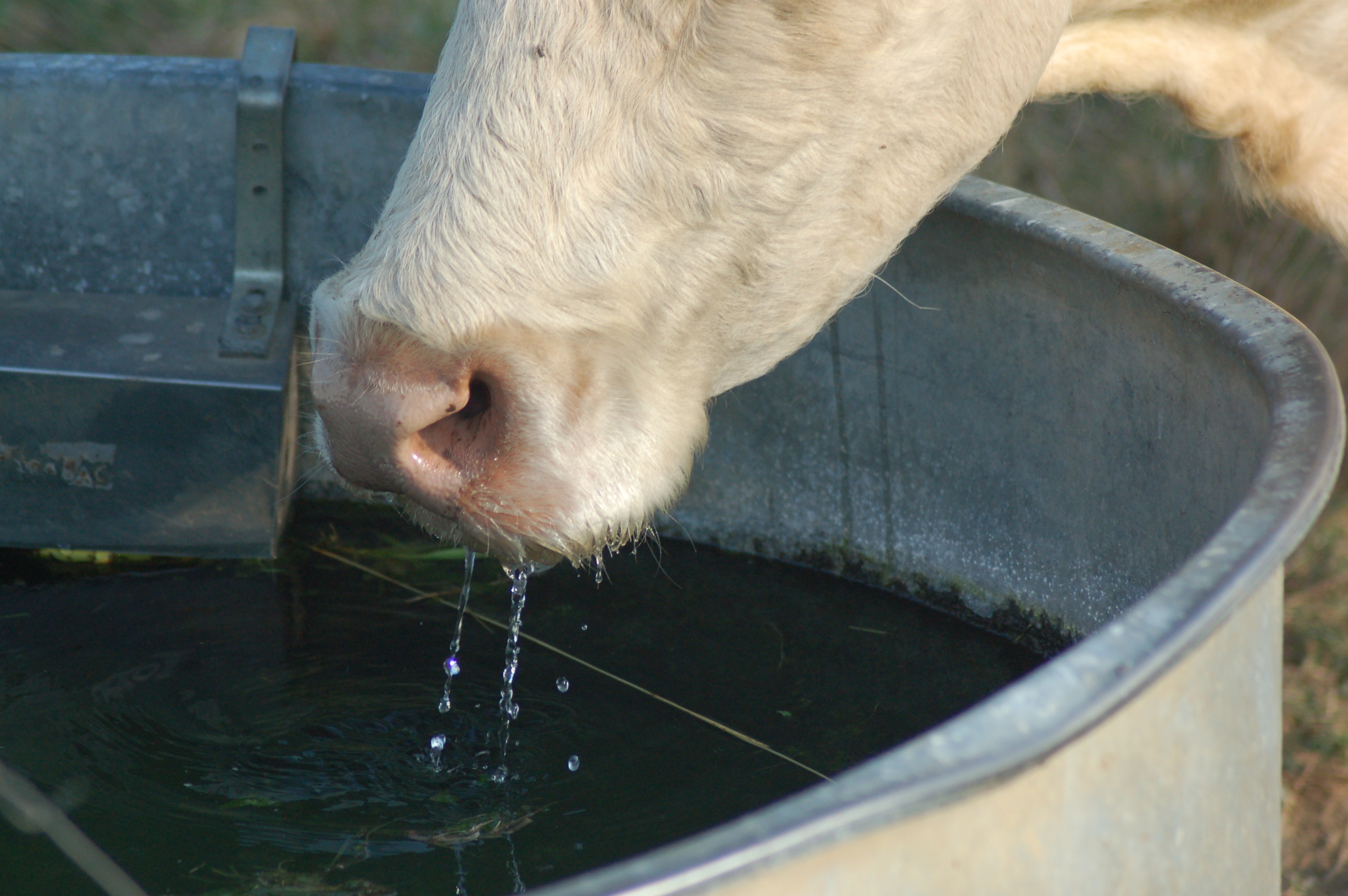 Réducteurs de pression d'eau pour installation en batiment d'élevage