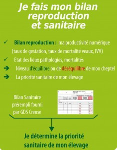 Bilan reproduction et sanitaire