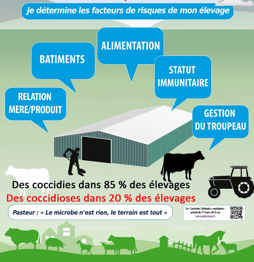 Sanitaire attitude_Facteurs de risque coccidiose