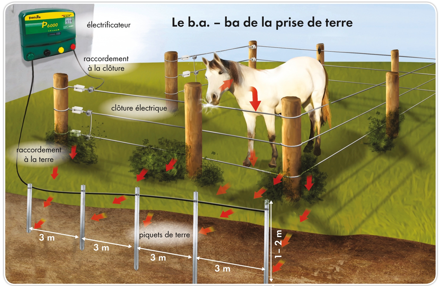 cloture electrique org