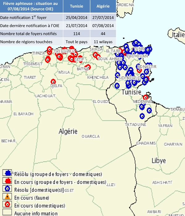 La FA (sérotype O) est apparue en Tunisie fin avril 2014. Le 27 juillet, l’Algérie annonçait son 1er foyer suite à une importation de taurillons venant de Tunisie.