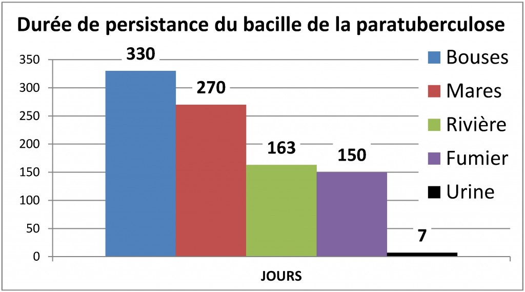 Une des caractéristiques de la paratuberculose est la persistance du germe dans le milieu extérieur. Mycobacterium paratuberculosis résiste au froid humide, persiste dans des pâtures humides ou des mares de nombreux mois après l’abandon de celles-ci par les animaux excréteurs d’où les précautions à observer lors de reprise de parcelles.