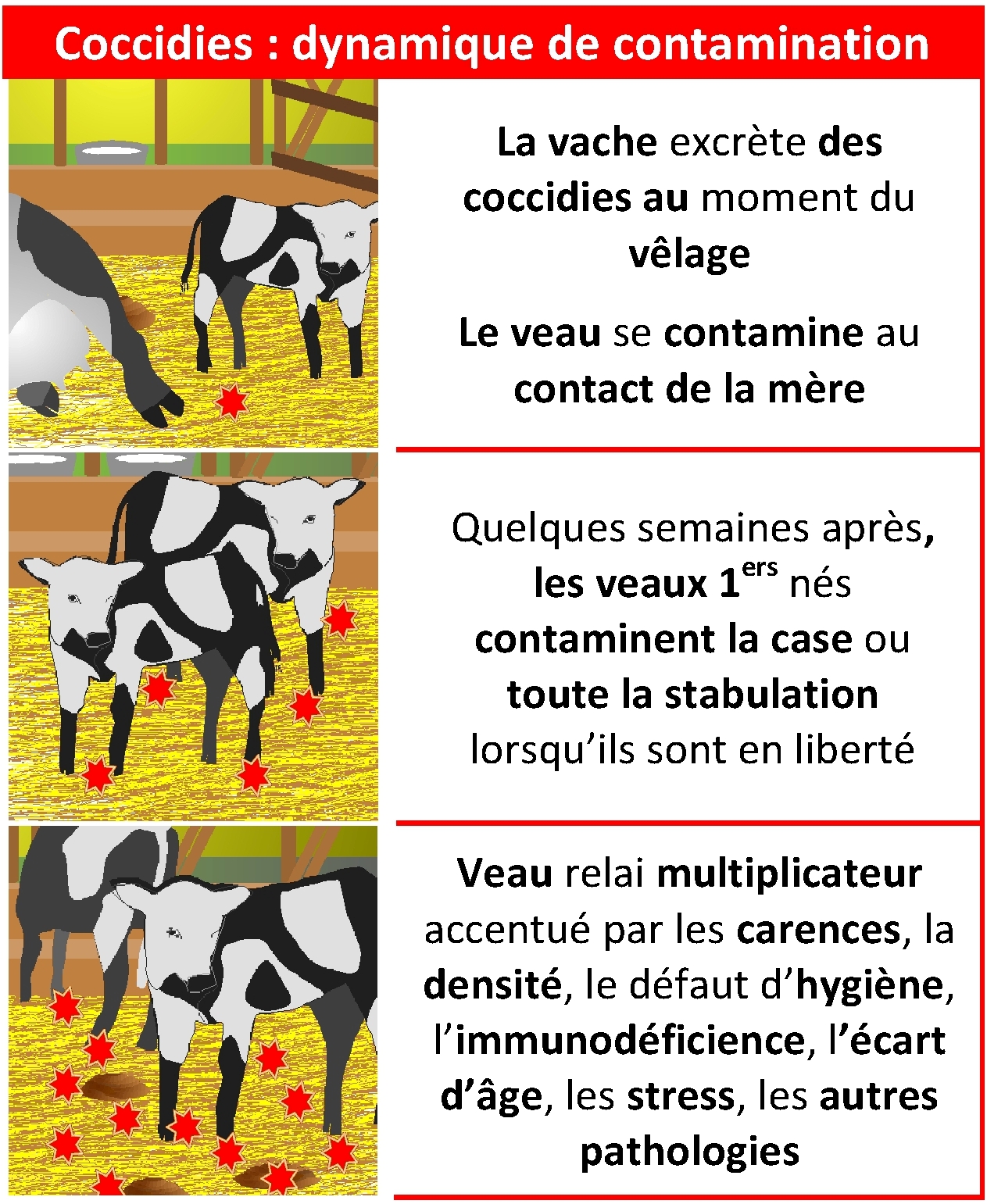 Traitements préventifs en hiver : anticiper pour limiter les parasites