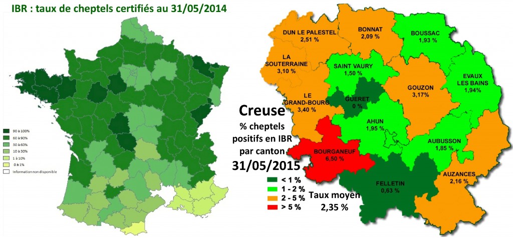 En France, au 31 mai 2014, 66 % des cheptels bénéficiaient d’une appellation IBR. La Creuse fait partie des dix départements avec plus de 90 % de cheptels certifiés. Deux cantons creusois sont passés au dessous du seuil de 1 % de cheptels positifs.