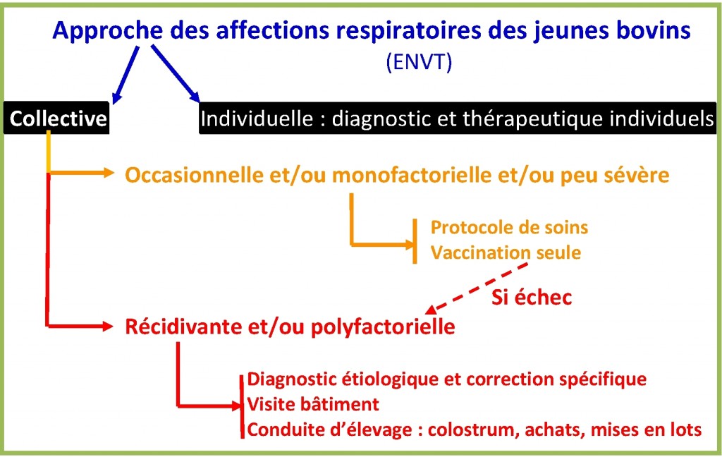 La maîtrise des facteurs de risque est un maillon indispensable au contrôle des maladies respiratoires qui ne peut se réduire à la prescription du duo antibiotiques-vaccins.