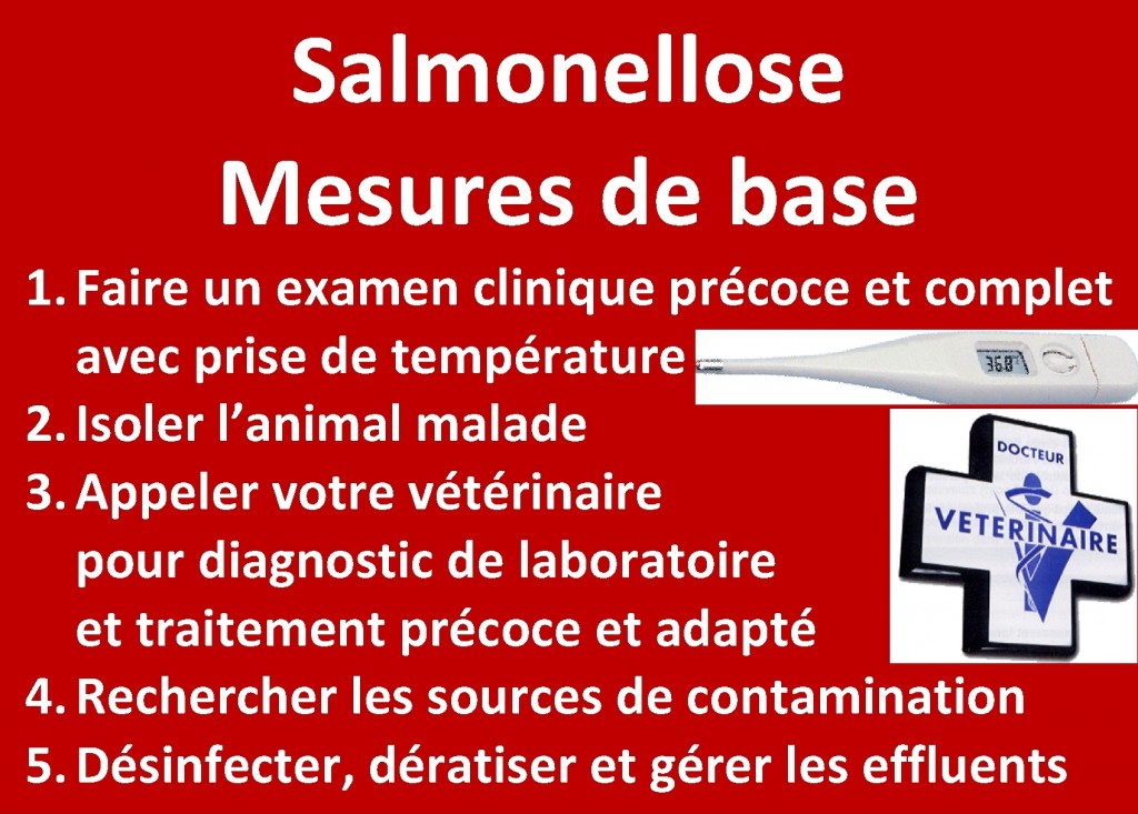 Salmonellose mesures de base