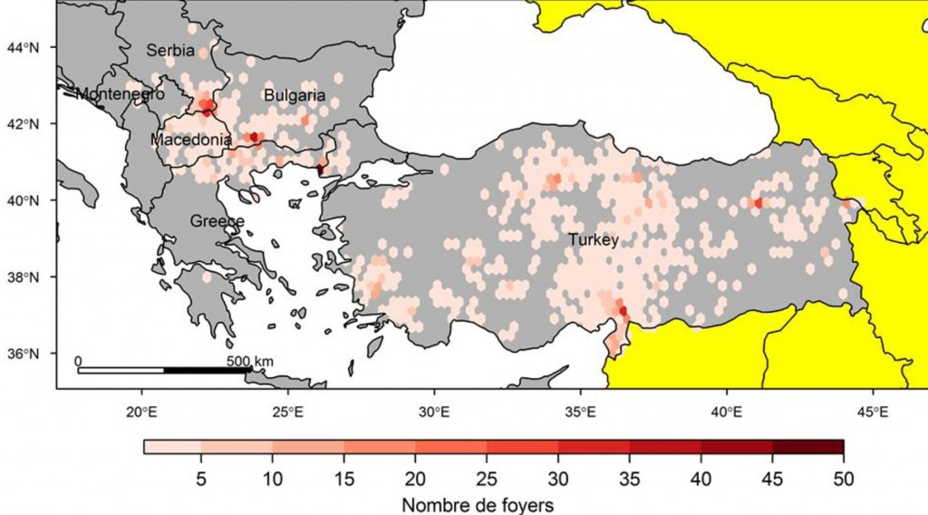 La DNCB a été détectée pour la première fois en Turquie en novembre 2013. Elle s’est ensuite étendue à l’Europe : dans la partie européenne de la Turquie en mai 2015, puis dans les Balkans. Au 31 juillet 2016, elle touchait la Grèce, la Bulgarie, la Macédoine, le Monténégro, l’Albanie et la Serbie, avec 747 foyers notifiés (source base de données européenne Animal Disease Notification System (ADNS))
