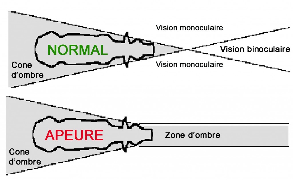 Les animaux possèdent des perceptions sensorielles (vue, ouïe, odorat et toucher) différentes de celles de l’homme qu’il est nécessaire de connaître pour mieux comprendre leur attitude et mettre en place des méthodes de manipulation et de contention adaptées.