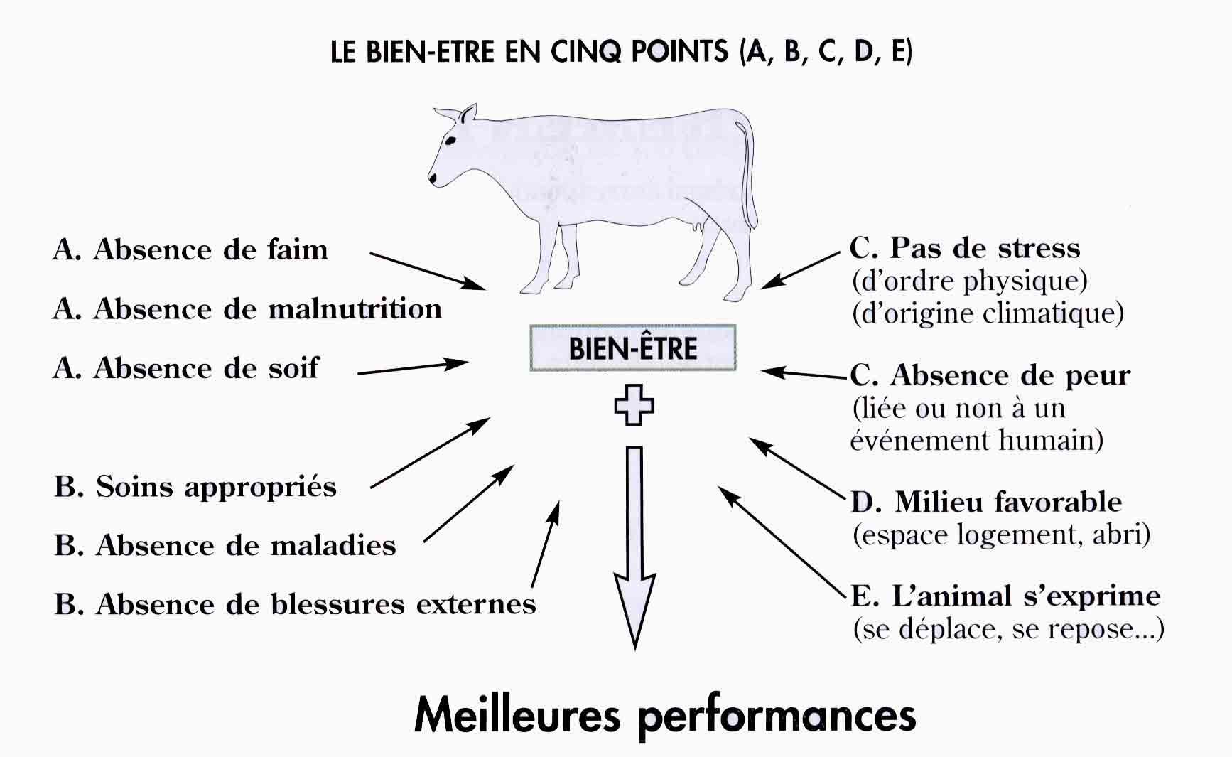 http://www.gdscreuse.fr/wp-content/uploads/2017/01/Bien-%C3%AAtre-animal-Composantes.jpg