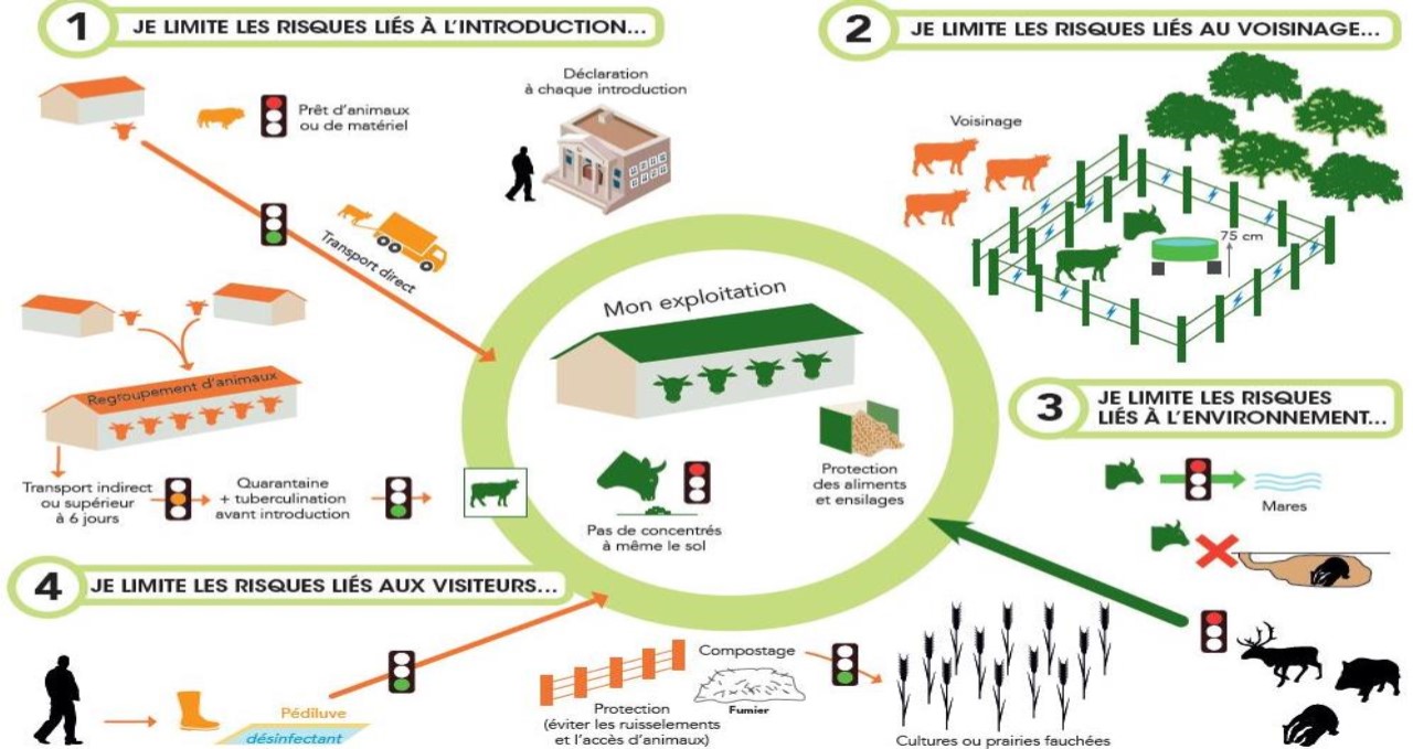 Info + Clôture électrique – Farago Creuse